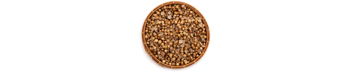 Coriander Seed Oil