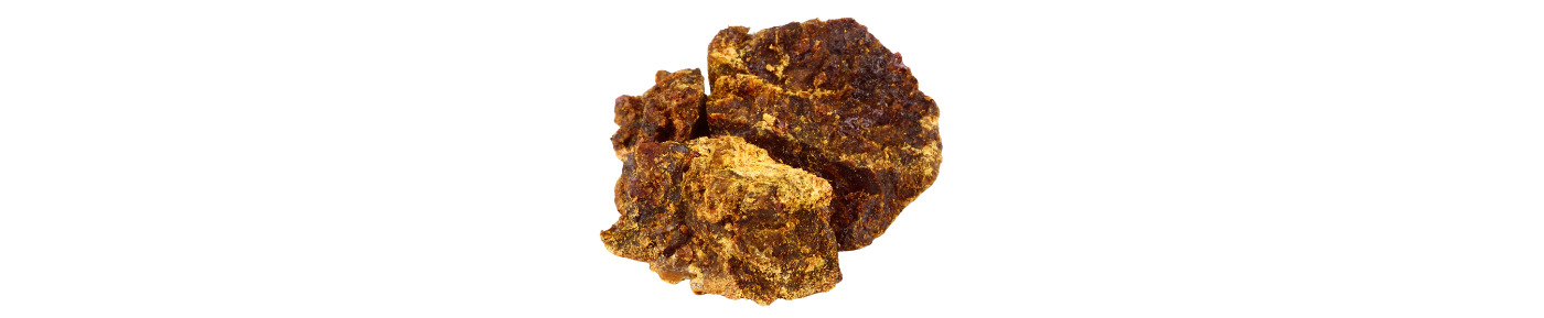 Propolis Extract