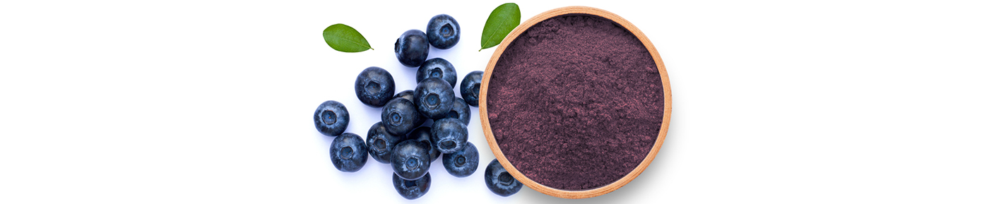 Blueberry extract