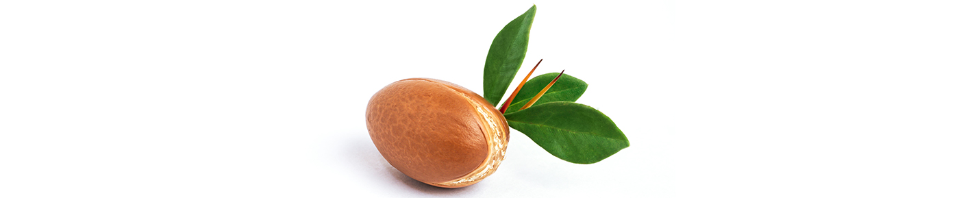 Argan nutshell powder