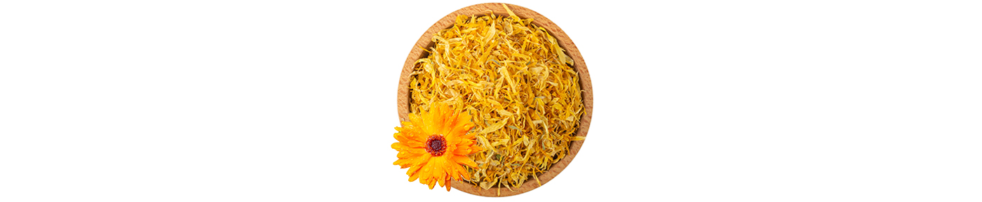 Calendula