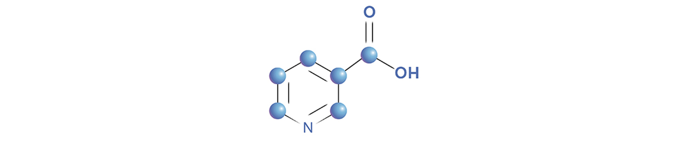 Niacinamide (Vitamin B3)