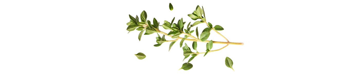 Thyme