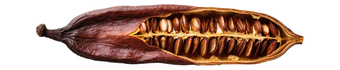 Carob Seed Extract